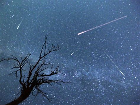 meteor shower august 2023 australia